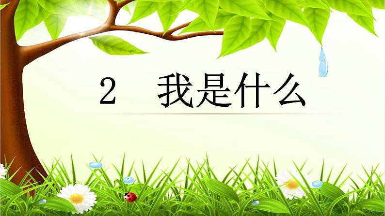 部编版语文二年级上册 2 我是什么(12)(课件)01