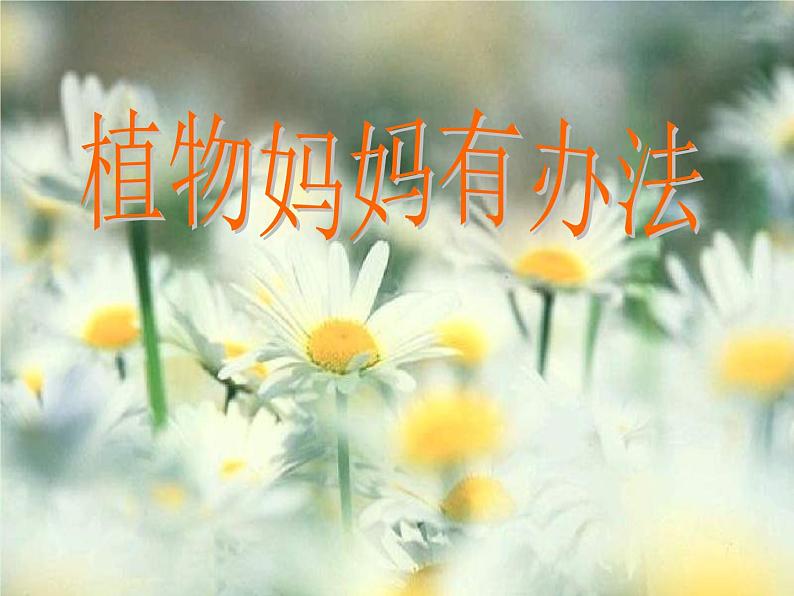部编版语文二年级上册 3 植物妈妈有办法(课件)01