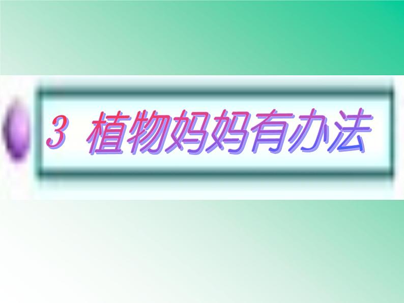 部编版语文二年级上册 3 《植物妈妈有办法》(课件)02