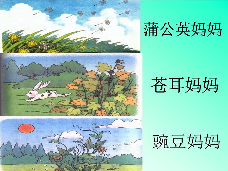 部编版语文二年级上册 3 《植物妈妈有办法》(课件)05
