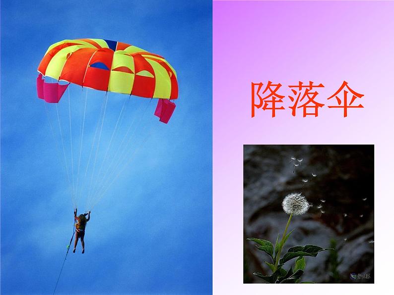 部编版语文二年级上册 3 《植物妈妈有办法》(课件)07