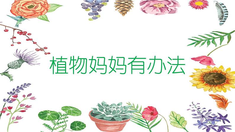 部编版语文二年级上册 3 《植物妈妈有办法》教学(1)(课件)01