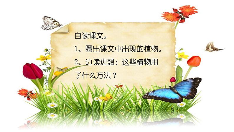 部编版语文二年级上册 3 《植物妈妈有办法》教学(1)(课件)04