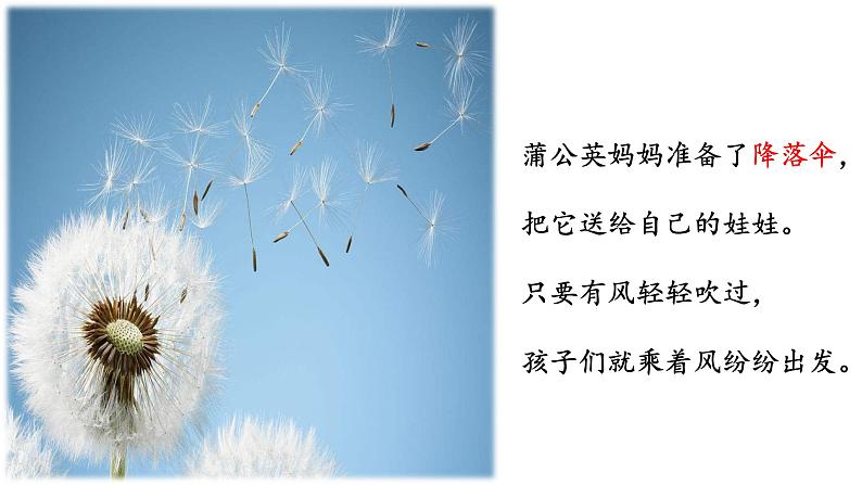 部编版语文二年级上册 3 《植物妈妈有办法》教学(1)(课件)06