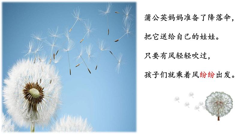 部编版语文二年级上册 3 《植物妈妈有办法》教学(1)(课件)08