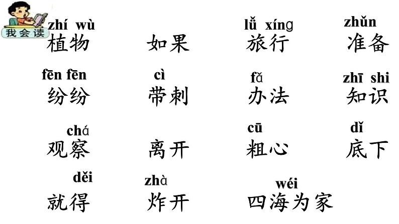 部编版语文二年级上册 3 植物妈妈有办法(23)(课件)05
