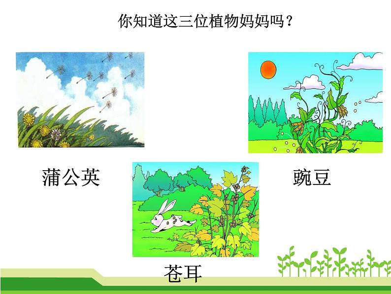 部编版语文二年级上册 3、植物妈妈有办法(课件)02