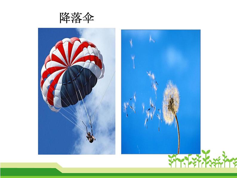 部编版语文二年级上册 3、植物妈妈有办法(课件)04