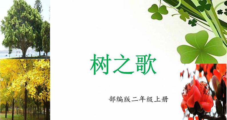 部编版语文二年级上册 2 识字2树之歌(课件)01