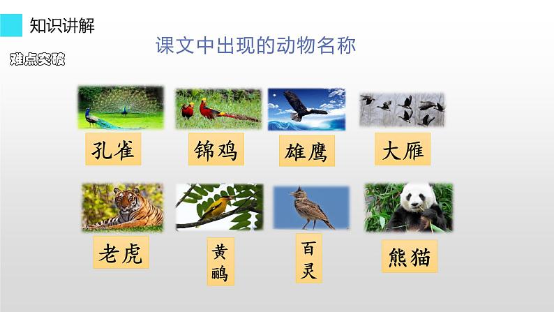 部编版语文二年级上册 3 拍手歌(课件)第7页