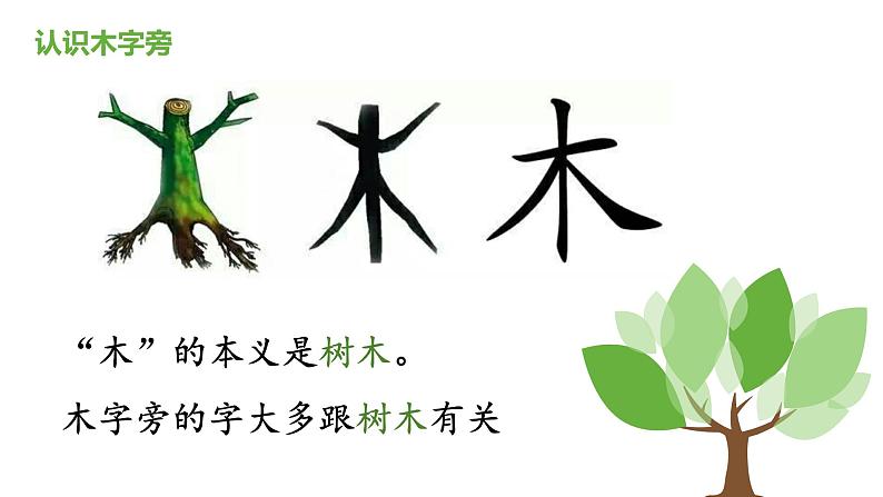 统编版语文二年级上册2. 树之歌 课件(11张)第5页