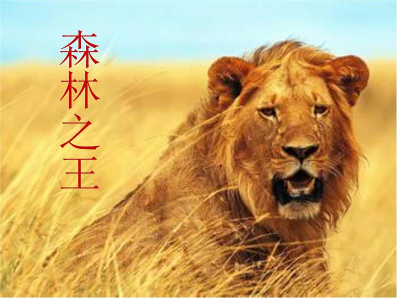 部编版语文二年级上册 口语交际 有趣的动物(课件)第2页