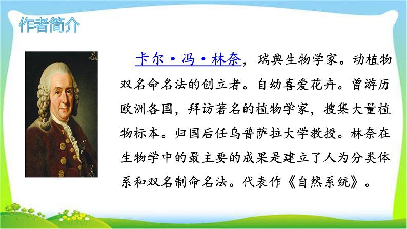 最新部编版三年级语文下册13花钟优课课件PPT03