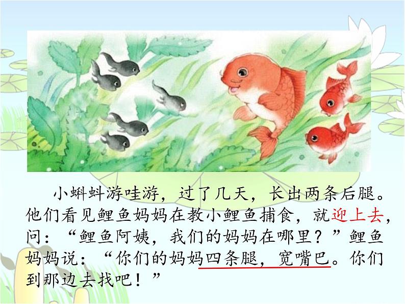 部编语文二上 第一单元 1.小蝌蚪找妈妈第二课时课件PPT05