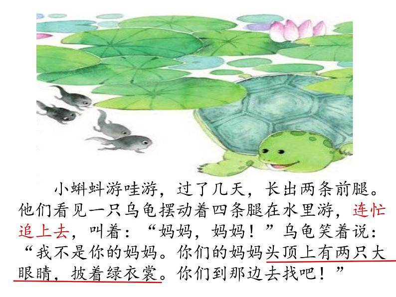 部编语文二上 第一单元 1.小蝌蚪找妈妈第二课时课件PPT07