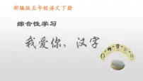 语文五年级下册第三单元综合性学习:遨游汉字王国我爱你,汉字说课ppt课件