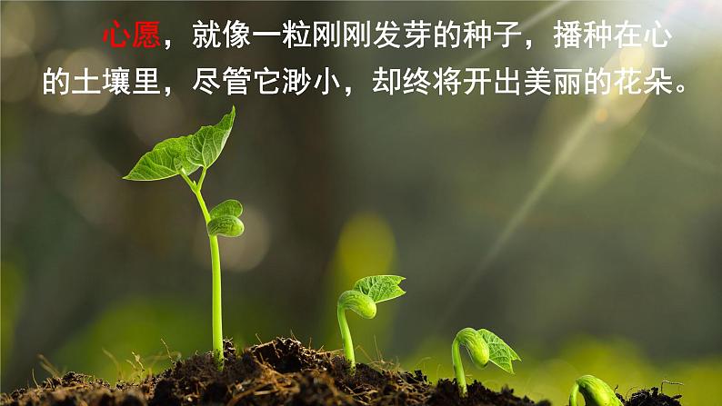 最新部编版六年级语文下册习作:心愿优课课件PPT第3页