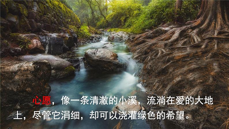 最新部编版六年级语文下册习作:心愿优课课件PPT第4页