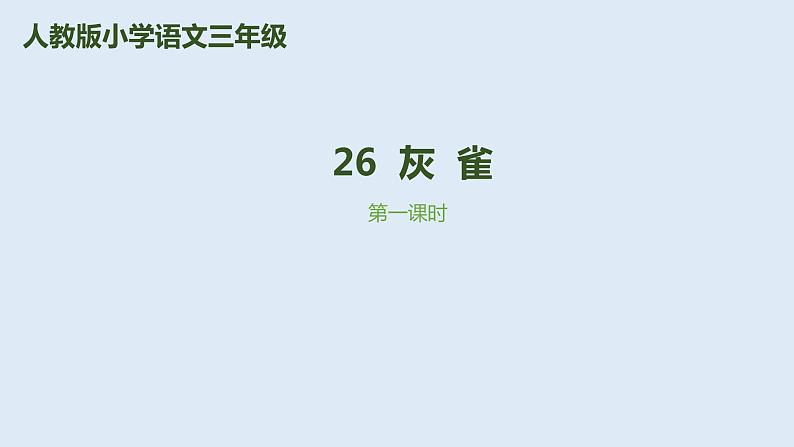 部编版三年级语文上册26灰雀优质 课件第2页