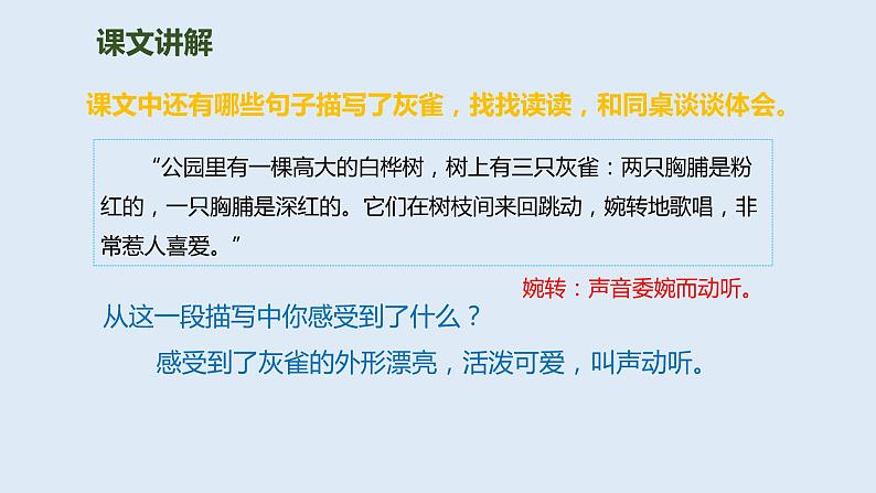 部编版三年级语文上册26灰雀优质 课件第8页