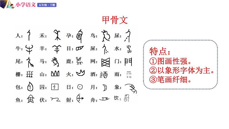 五年级下册语文授课课件 第三单元 我爱你,汉字 第一课时 部编版第6页
