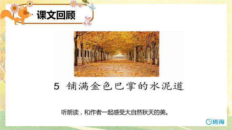 5.铺满金色巴掌的水泥道 (2个课时)课件+教案04