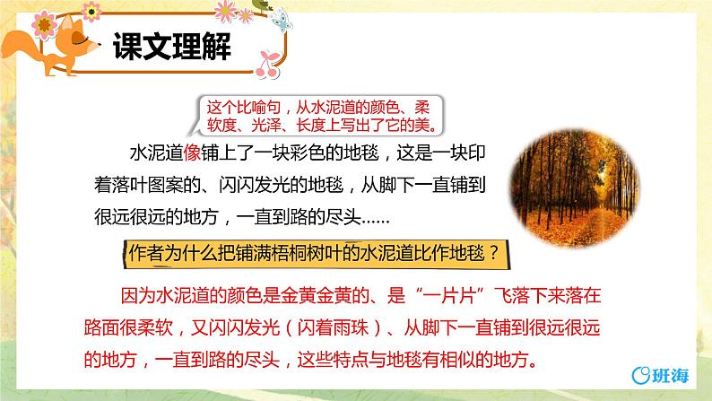 5.铺满金色巴掌的水泥道 (2个课时)课件+教案05
