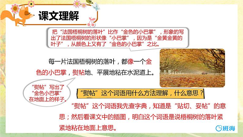 5.铺满金色巴掌的水泥道 (2个课时)课件+教案06
