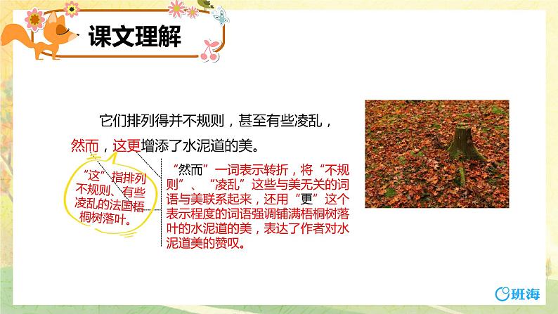 5.铺满金色巴掌的水泥道 (2个课时)课件+教案07