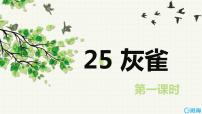 小学25 灰雀优质课件ppt