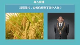 部编版六年级上册语文我的拿手好戏课件