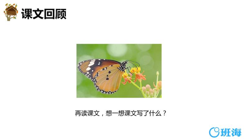 8.蝴蝶的家（2个课时）课件+教案04