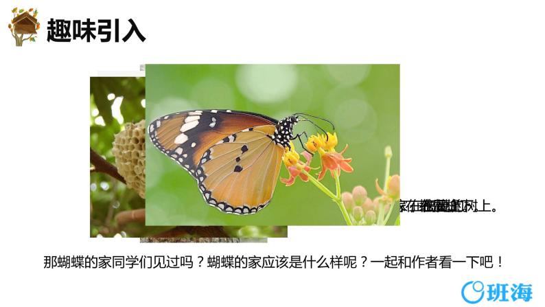 8.蝴蝶的家（2个课时）课件+教案04