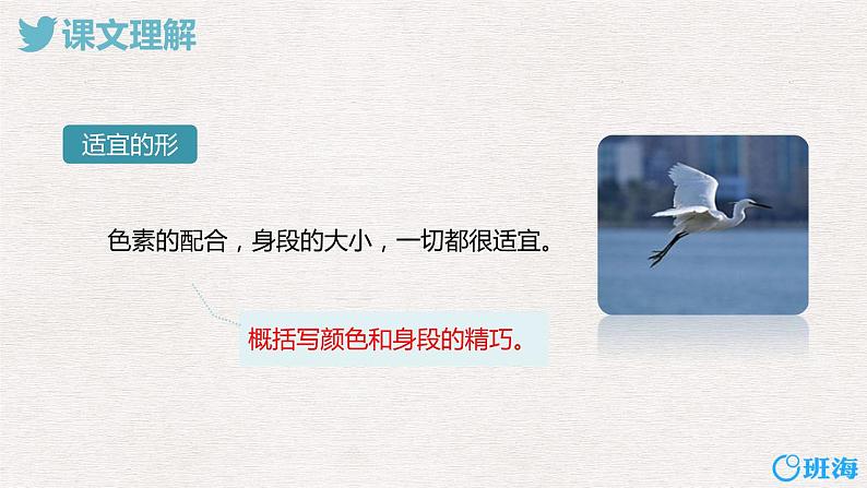 1.白鹭(2个课时)课件+教案06