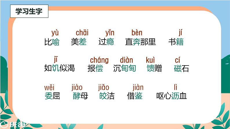 27.我的“长生果”(2个课时)课件+教案08
