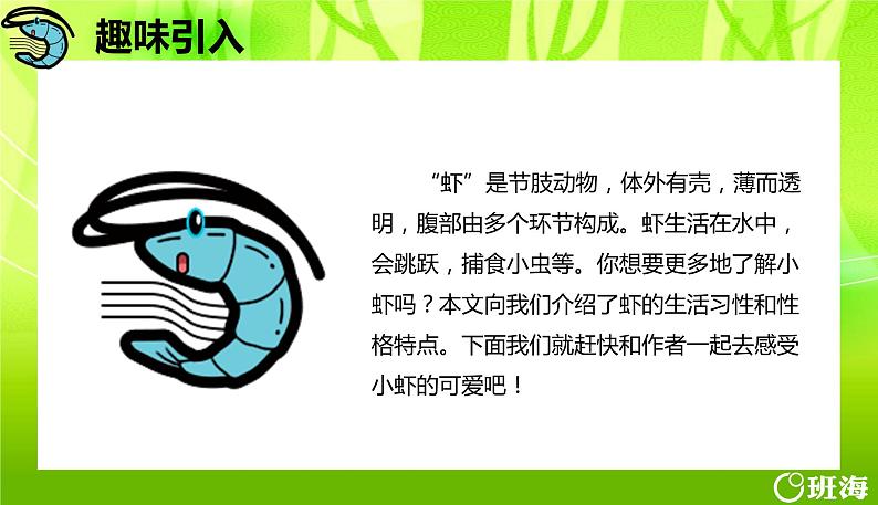 15.小虾 课件+教案04