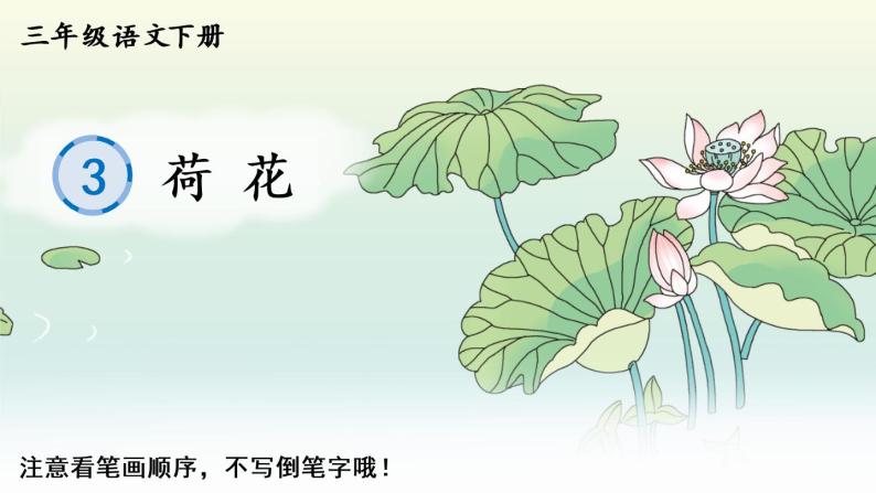 3 荷花    生字教学课件（含自动播放配音）01