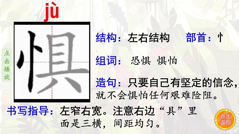 5.鲁滨逊漂流记(笔顺动漫)课件PPT第3页