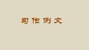 小守门员和他的观众们PPT课件免费下载