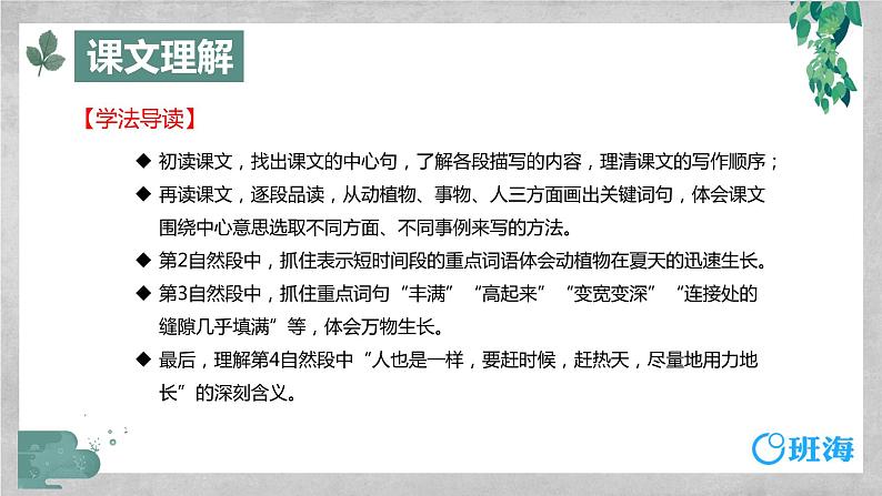 部编版语文六年级上册-16.夏天里的成长 优质课件+优秀教案05