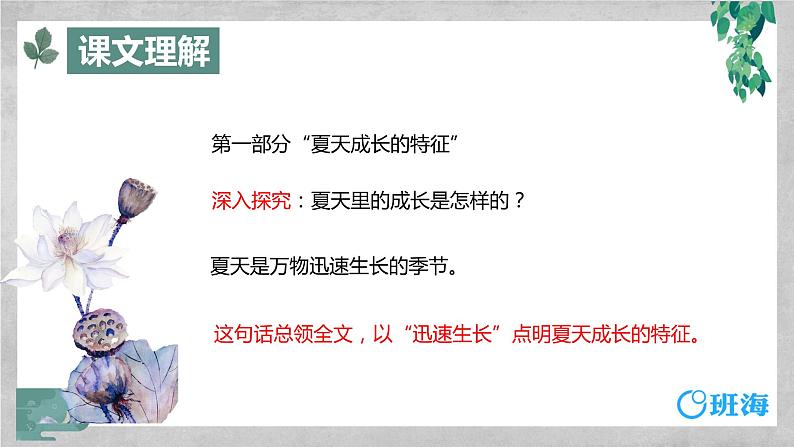 部编版语文六年级上册-16.夏天里的成长 优质课件+优秀教案06