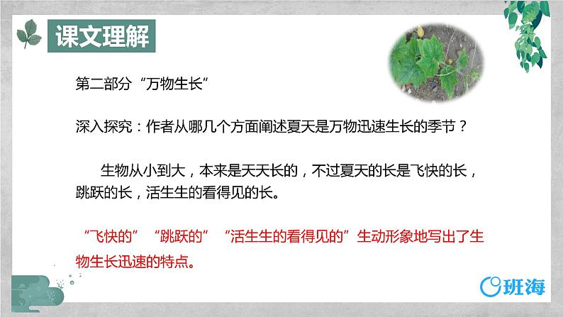 部编版语文六年级上册-16.夏天里的成长 优质课件+优秀教案08