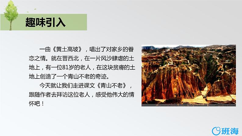 部编版语文六年级上册-20.青山不老 优质课件+优秀教案04