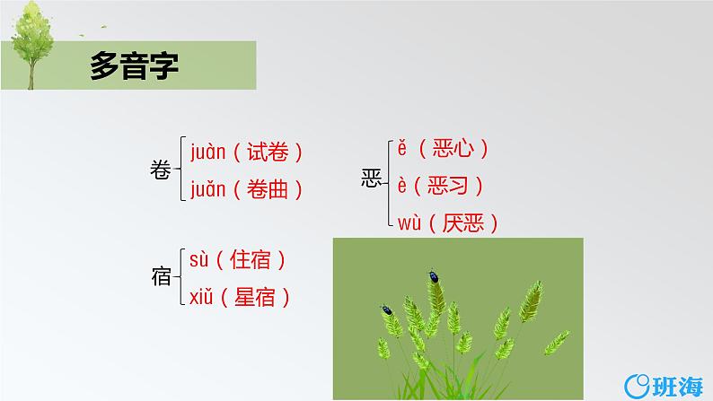部编版语文六年级上册-20.青山不老 优质课件+优秀教案08