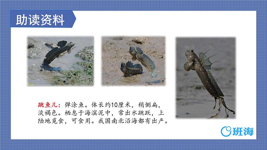 部編版語文六年級(jí)上冊(cè)-25.少年閏土 第1課時(shí)【優(yōu)秀課件】第8頁(yè)