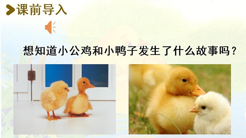 统编版一年级语文下册 第3单元 5.小公鸡和小鸭子 课件02
