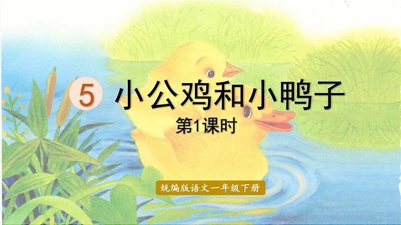 统编版一年级语文下册 第3单元 5.小公鸡和小鸭子 课件01