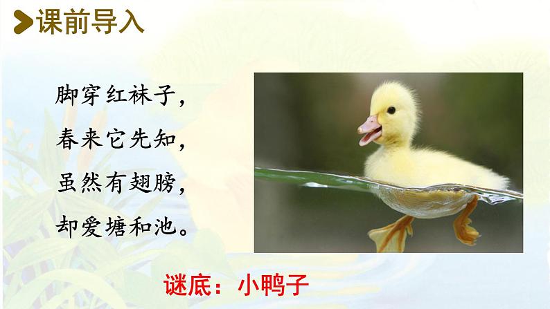 统编版一年级语文下册 第3单元 5.小公鸡和小鸭子 课件02