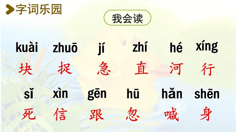 统编版一年级语文下册 第3单元 5.小公鸡和小鸭子 课件04