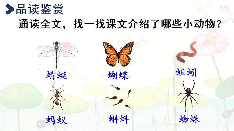 统编版一年级语文下册 第5单元 5.动物儿歌 课件06